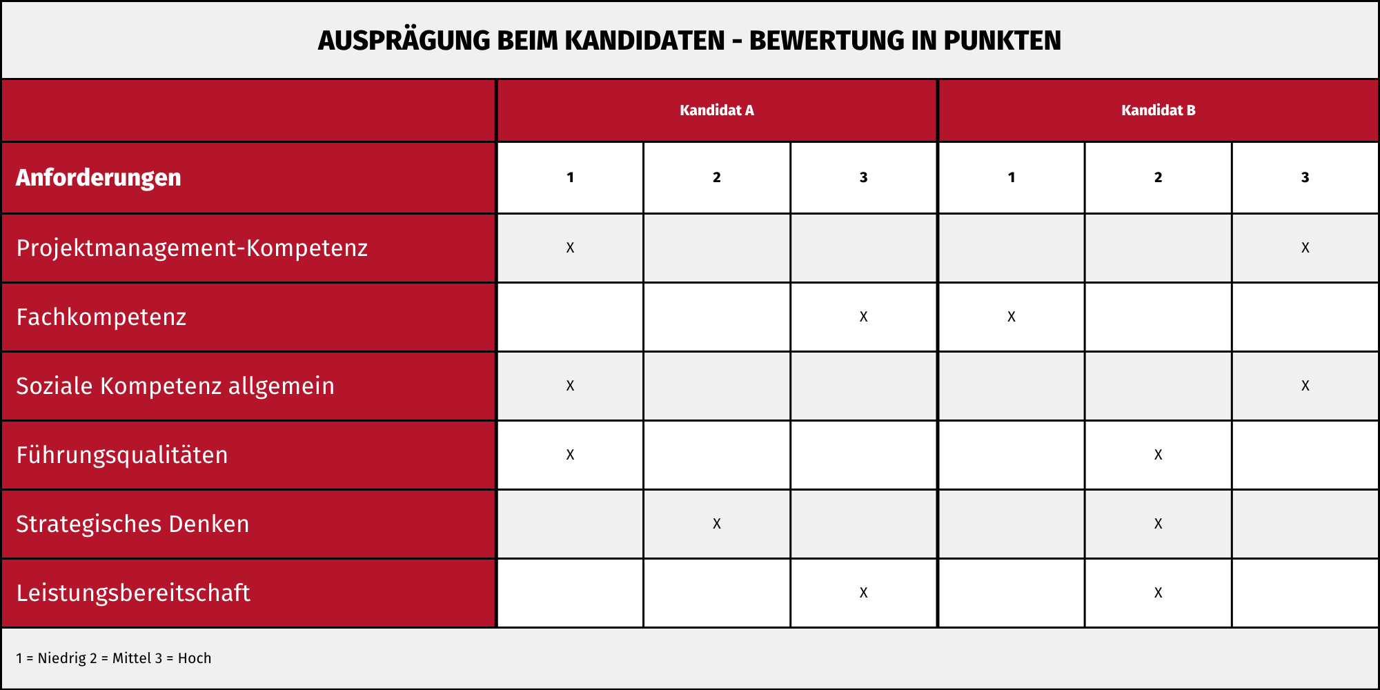 Beispiel eines Anforderungsprofils für die Auswahl eines Projektmanagers