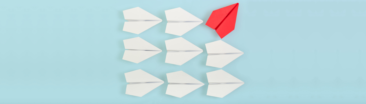 Das Enneagramm im Projektmanagement | IAPM