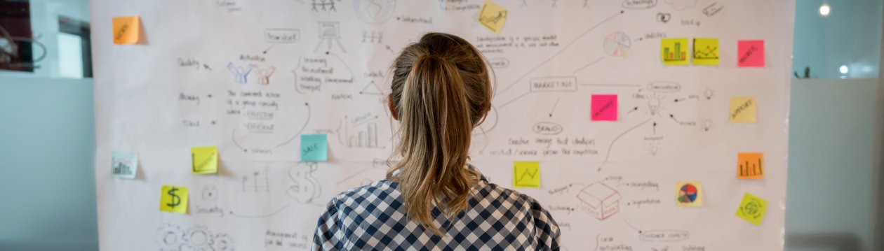 You see a woman from behind, looking at a large poster with notes and marketing terms.