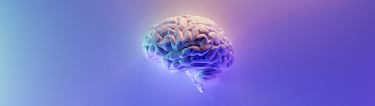 A brain. A brain.