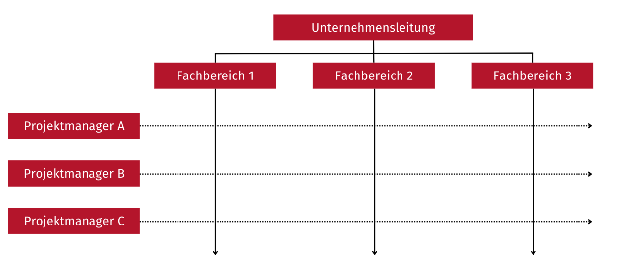 Matrixprojektorganisation Matrixprojektorganisation