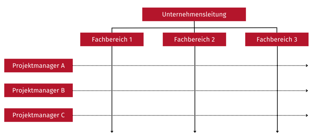 Matrixprojektorganisation