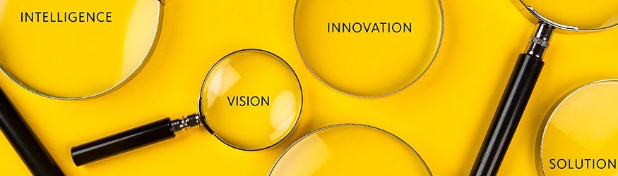 Several magnifying glasses zooming in on the words Intelligence, Vision, Innovation and Solution.