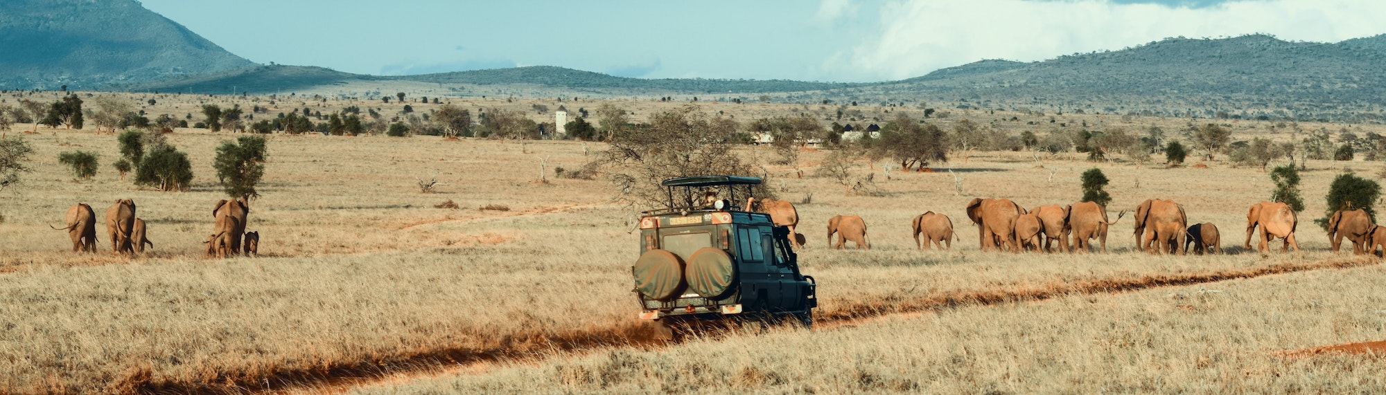 Book presentation: Project Safari by Mario Neumann | IAPM