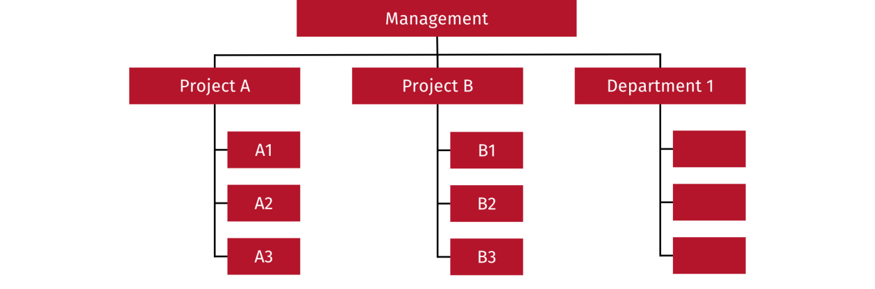 Pure project organisation Pure project organisation