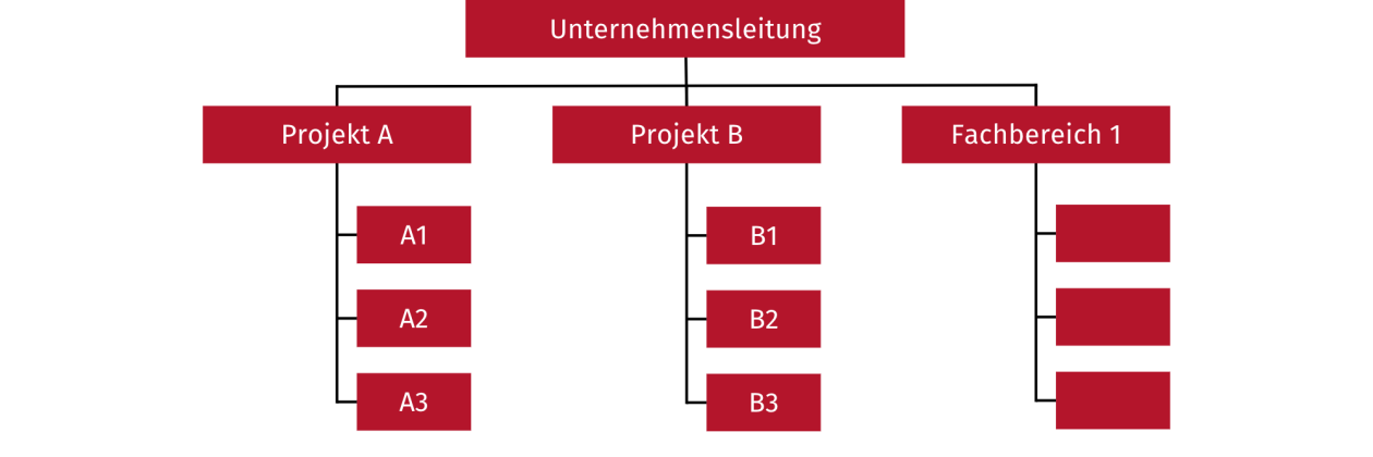 Reine Projektorganisation Reine Projektorganisation