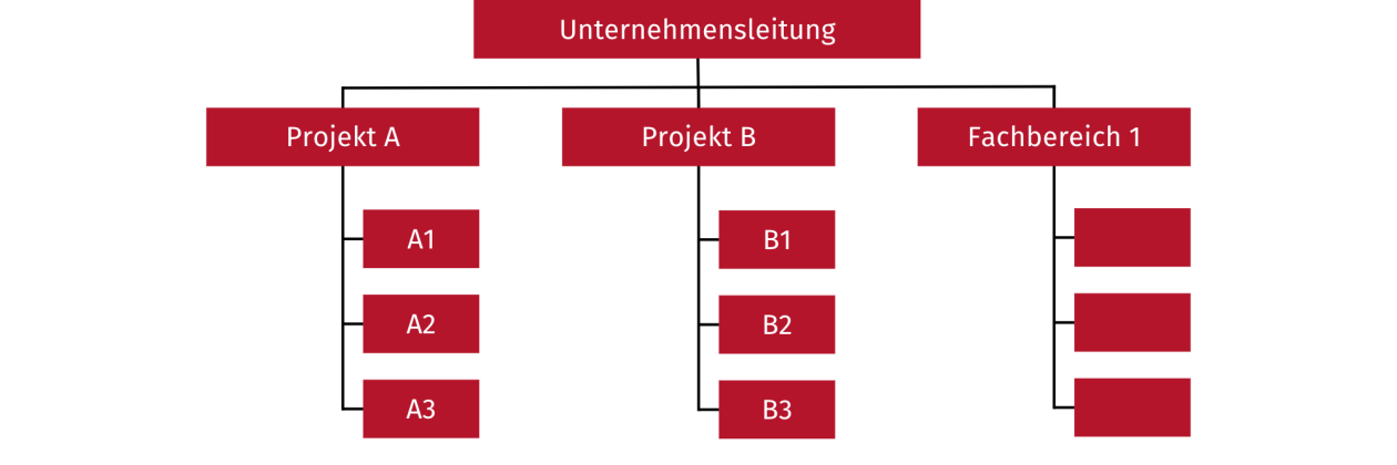 Reine Projektorganisation