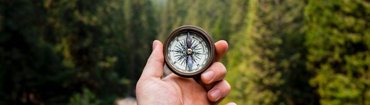 A person holds a compass in the air