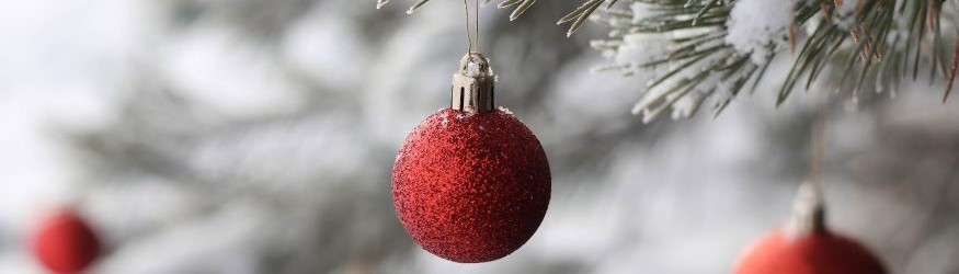 Red christmas tree baubles hanging from a snow-covered conifer is in focus.