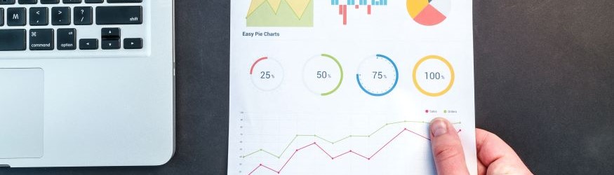 Software presentation: Visme | IAPM