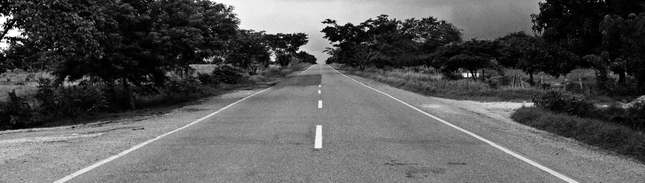 A road with trees at the side of the road.